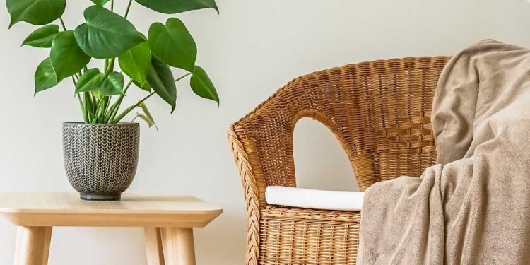 The 2026 Design Sourcebook: Best Home Decor Brands for Every Budget