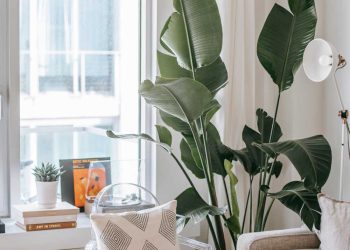 The 2026 Designer’s Playbook: How to Decorate Your Home Like a Pro