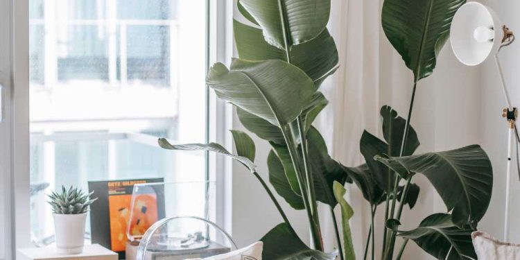 The 2026 Designer’s Playbook: How to Decorate Your Home Like a Pro